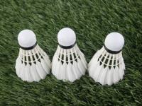 FB体育-韩国羽毛球队翻盘印度羽毛球队，林丹打破历史纪录