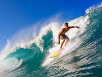 FB赛事直播-恩佐的稳定输出，荷兰决胜局如何带走委内瑞拉