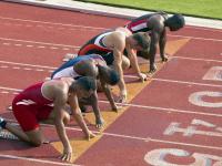 FB体育下载-赛道与球场，双星闪耀的争冠之夜