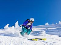 FB体育在线-意甲焦点战之夜，卡瓦哈尔带队取胜，战术革新引领新篇章