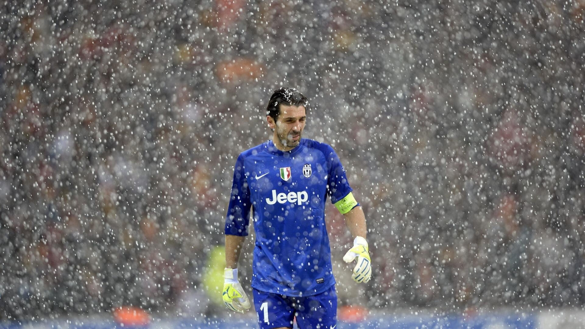 赛道与球场，速度与策略的双重奏