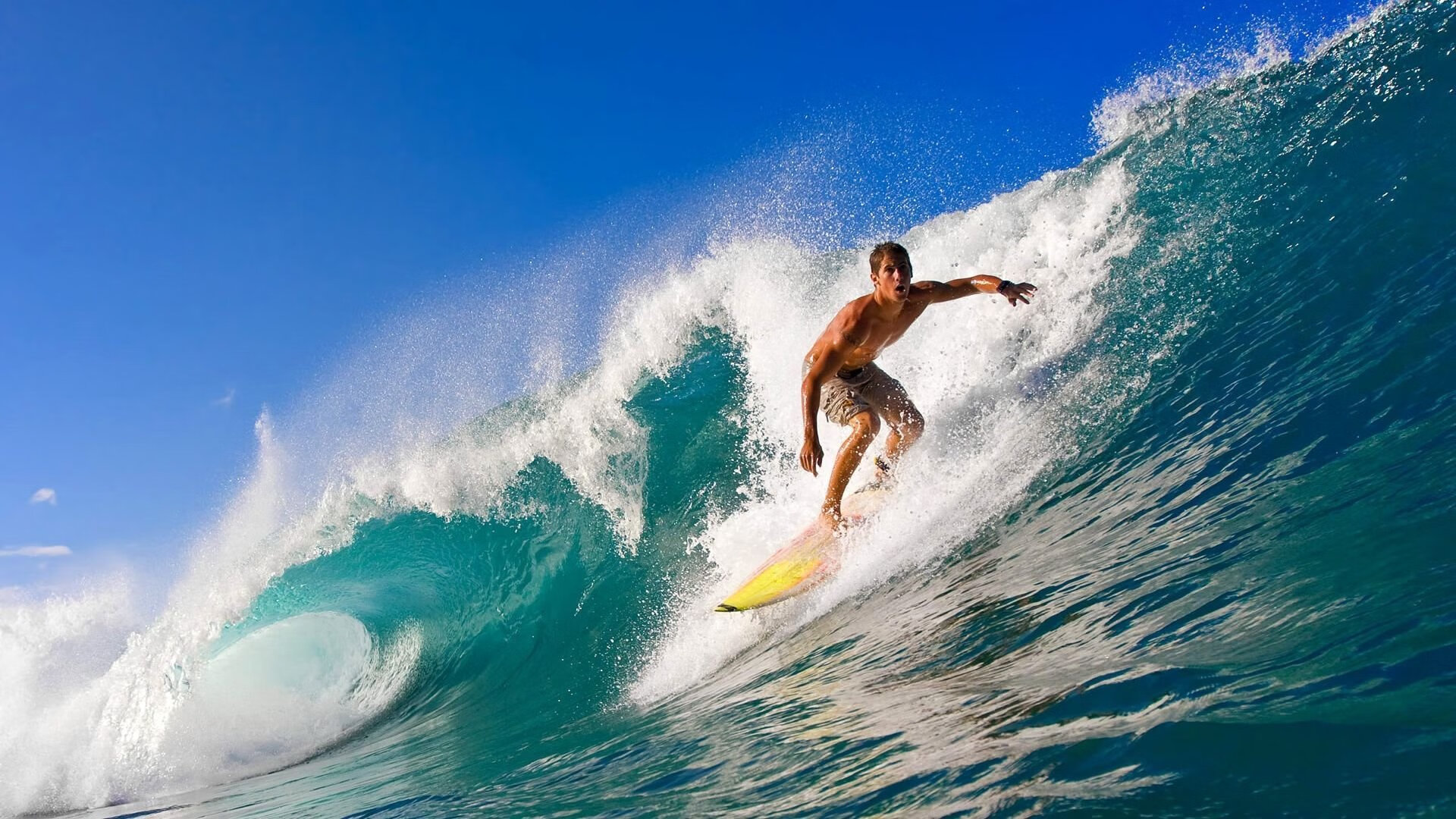 跨越东西的赛场主宰，老鹰力克广东背后的篮球全球化新叙事